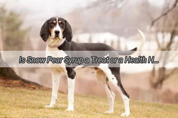 Is Snow Pear Syrup a Treat or a Health Hazard for Your Pooch Find Out Now